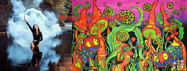марки lsd Михайловка