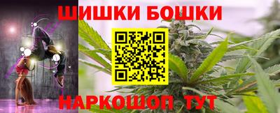 гашик Сланцы