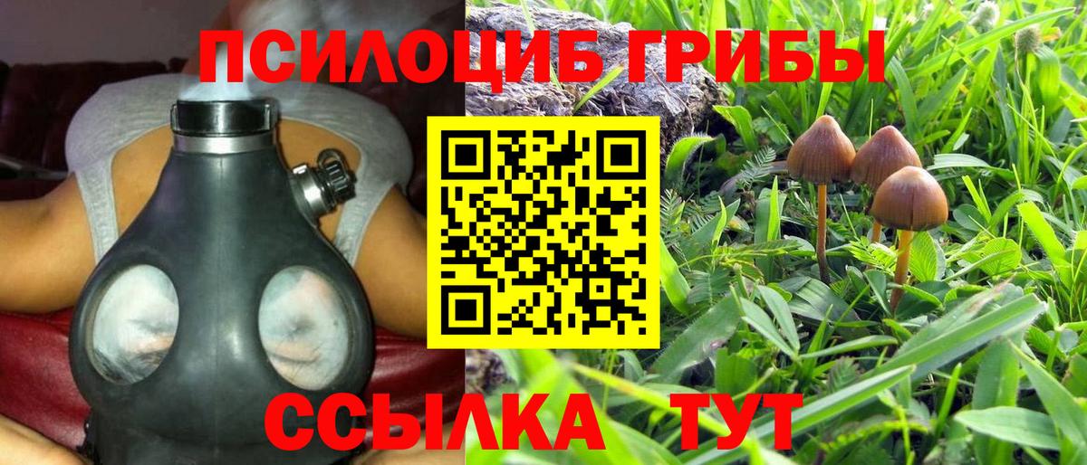 Псилоцибиновые грибы Psilocybine cubensis  Вход с VPN  хочу наркоту  Архангельск 